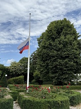 Participation in the Garden of Memory International Campaign